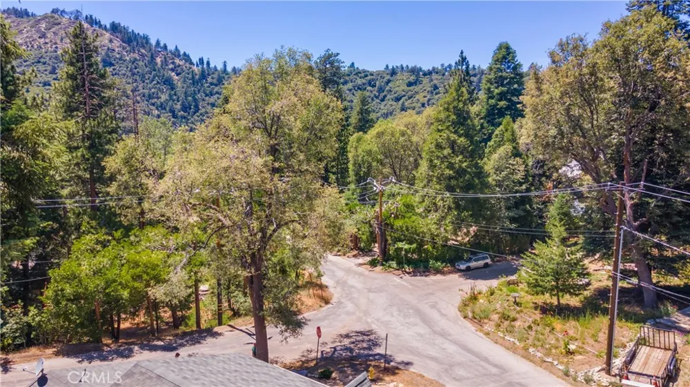 37667 Live Oak Street Angelus Oaks, CA 92305