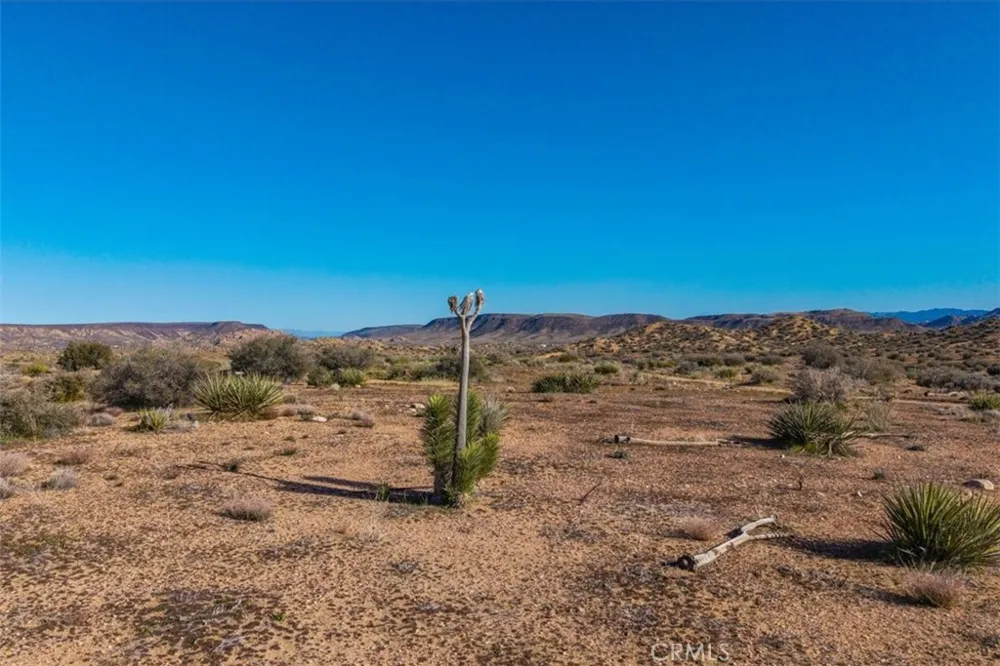3263 Apache Pass Pioneertown, CA 92268