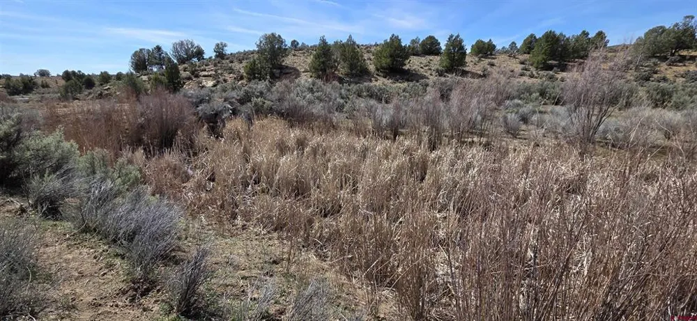 5846 St Hwy 140 Hesperus, CO 81326