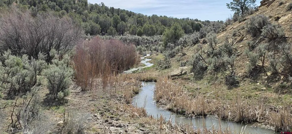 5846 St Hwy 140 Hesperus, CO 81326