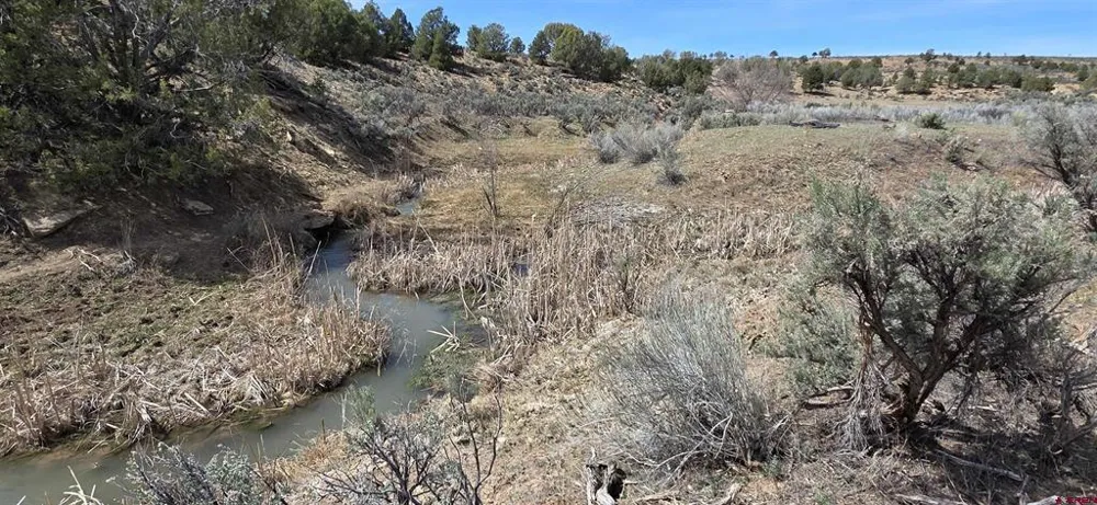5846 St Hwy 140 Hesperus, CO 81326