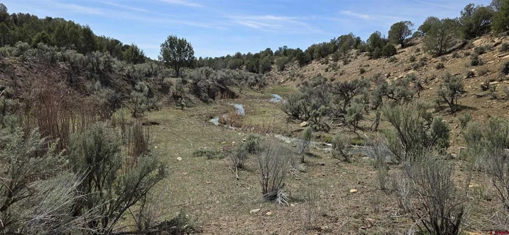 5846 St Hwy 140 Hesperus, CO 81326