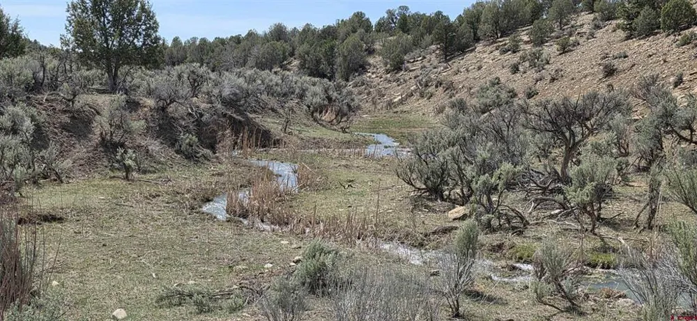 5846 St Hwy 140 Hesperus, CO 81326