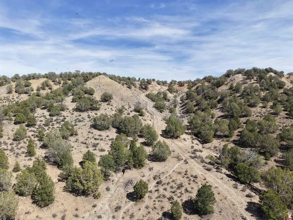 5846 St Hwy 140 Hesperus, CO 81326