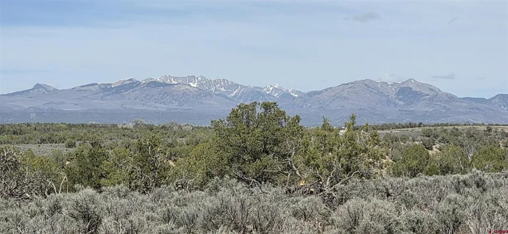 5846 St Hwy 140 Hesperus, CO 81326