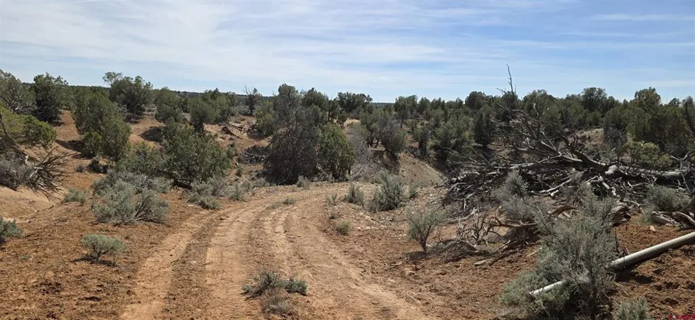 5846 St Hwy 140 Hesperus, CO 81326