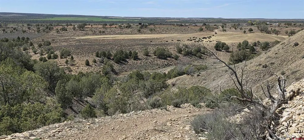 5846 St Hwy 140 Hesperus, CO 81326