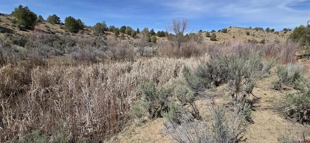 5846 St Hwy 140 Hesperus, CO 81326