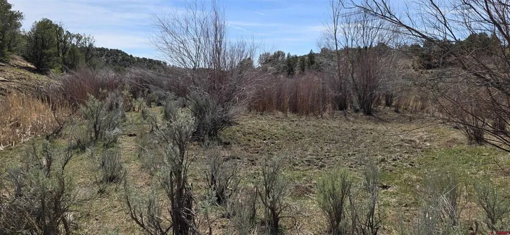 5846 St Hwy 140 Hesperus, CO 81326