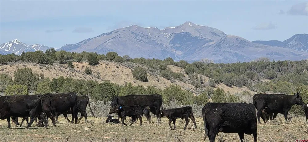 5846 St Hwy 140 Hesperus, CO 81326