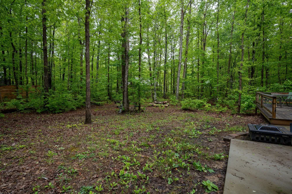 15 Sassafras Trail Rising Fawn, GA 30738