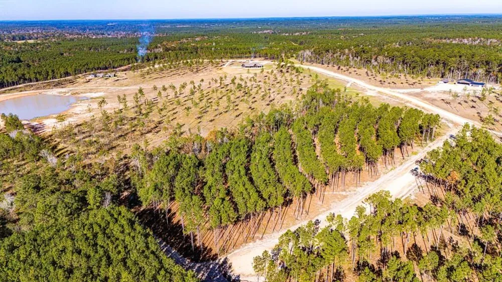 12 Big Buck Drive Moscow, TX 75960