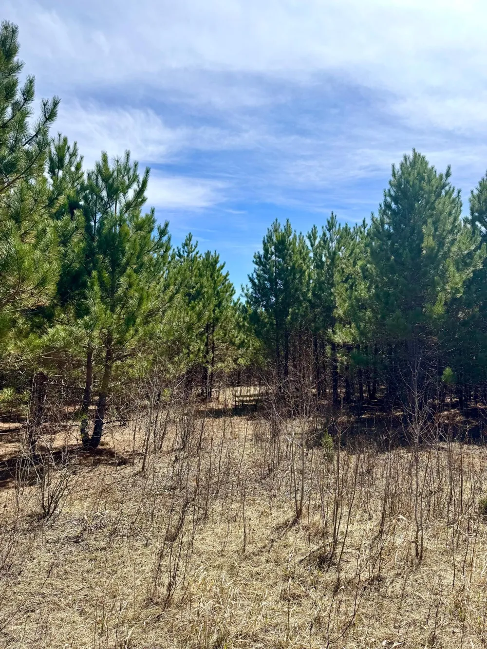 Lot 1 Scenic Hwy 7 Bovey, MN 55709