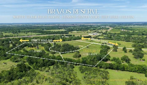 Brazos Court (9.3 Acres)