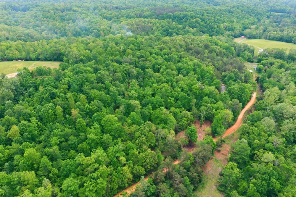 0 Willow Springs Road Lyles, TN 37098