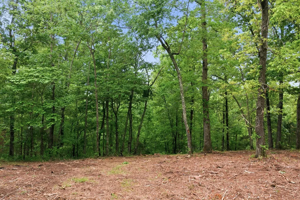 0 Willow Springs Road Lyles, TN 37098