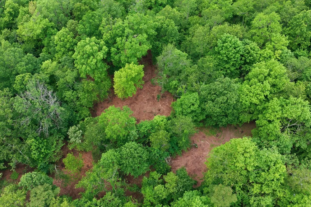 0 Willow Springs Road Lyles, TN 37098