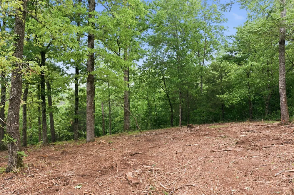 0 Willow Springs Road Lyles, TN 37098