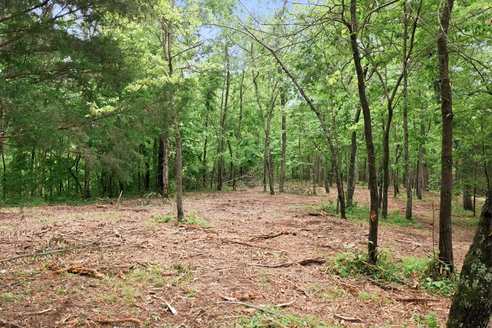 0 Willow Springs Road Lyles, TN 37098