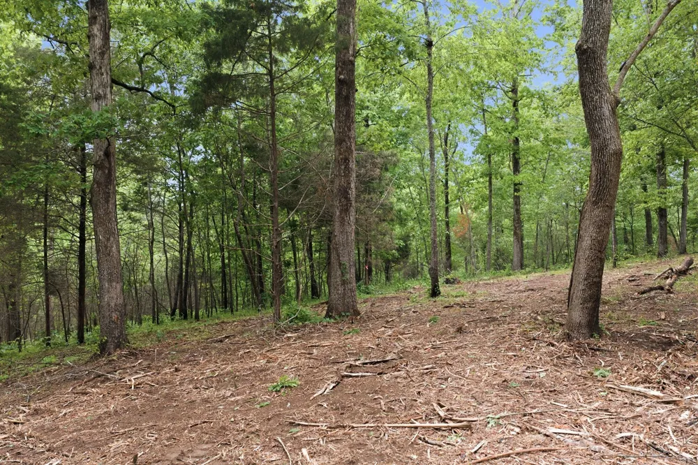 0 Willow Springs Road Lyles, TN 37098