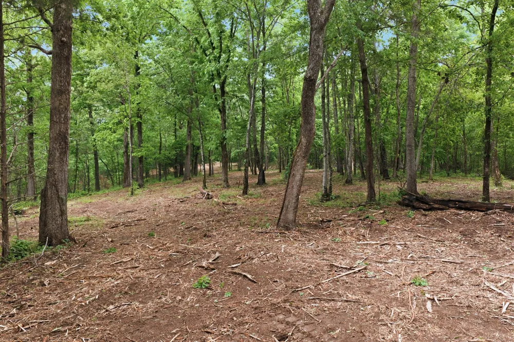 0 Willow Springs Road Lyles, TN 37098