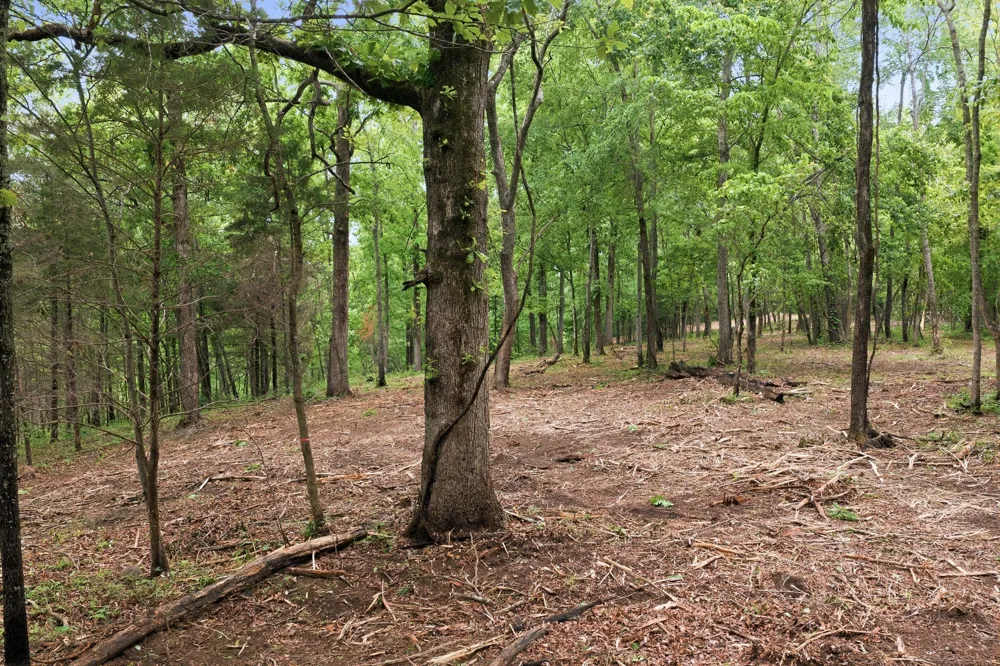 0 Willow Springs Road Lyles, TN 37098
