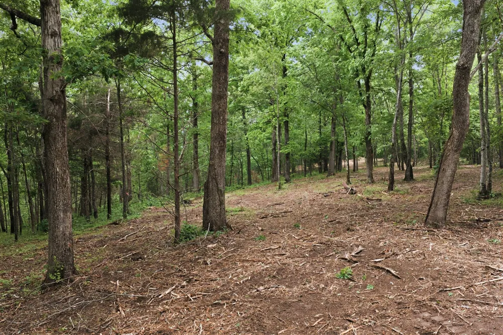 0 Willow Springs Road Lyles, TN 37098
