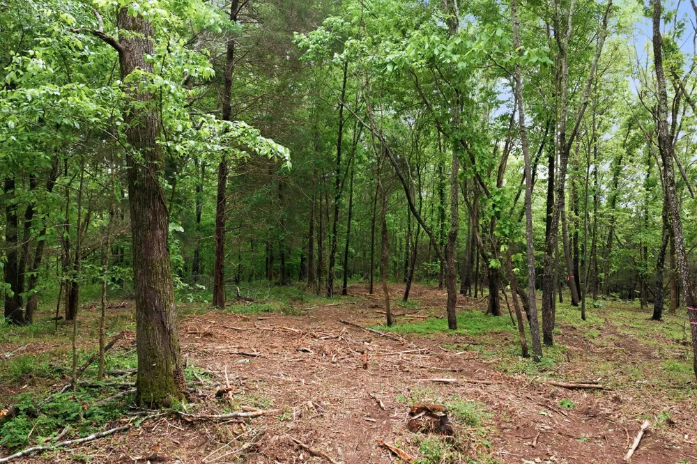 0 Willow Springs Road Lyles, TN 37098
