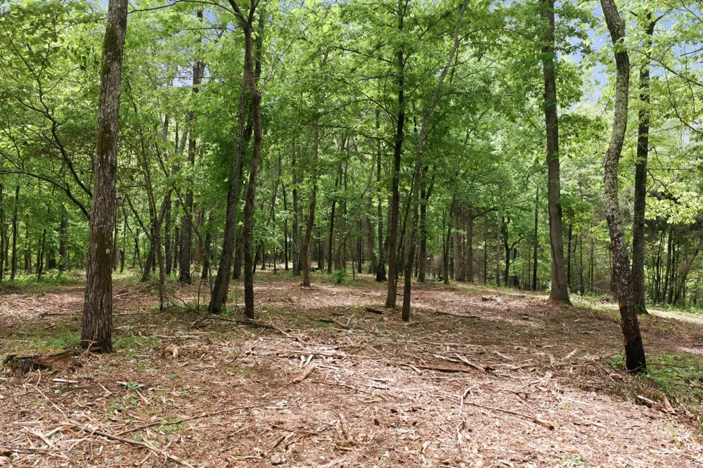 0 Willow Springs Road Lyles, TN 37098