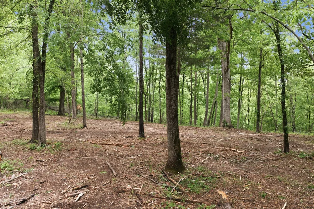 0 Willow Springs Road Lyles, TN 37098
