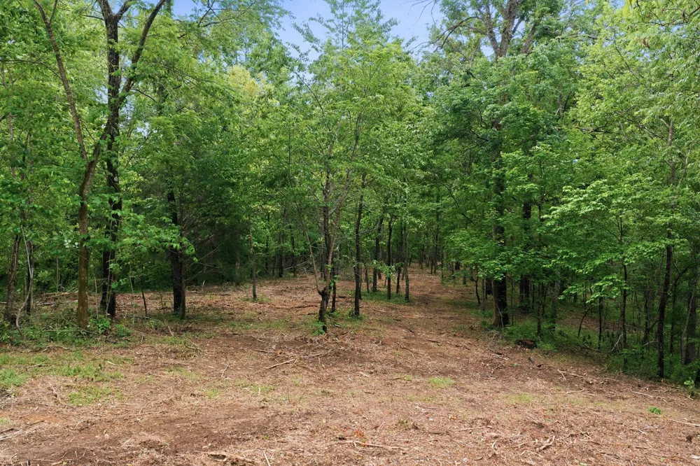 0 Willow Springs Road Lyles, TN 37098