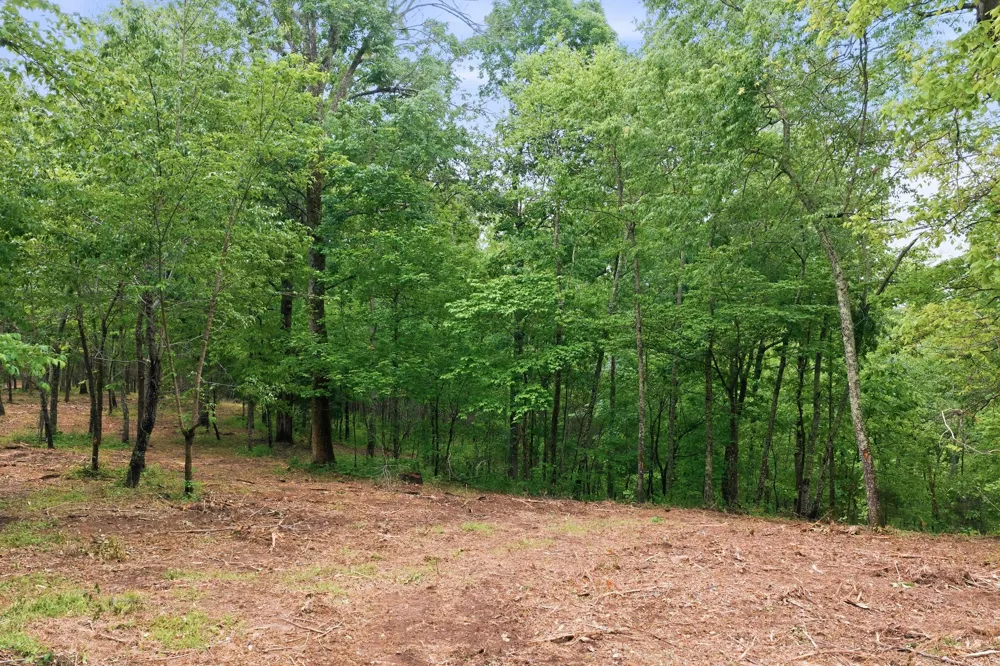 0 Willow Springs Road Lyles, TN 37098