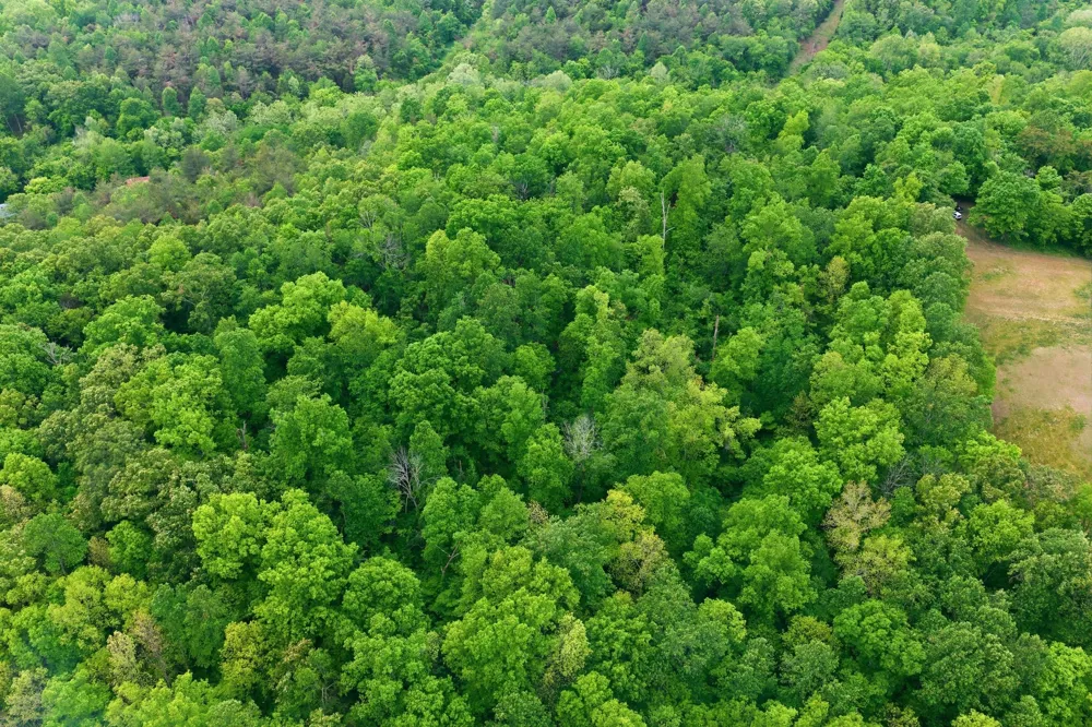 0 Willow Springs Road Lyles, TN 37098