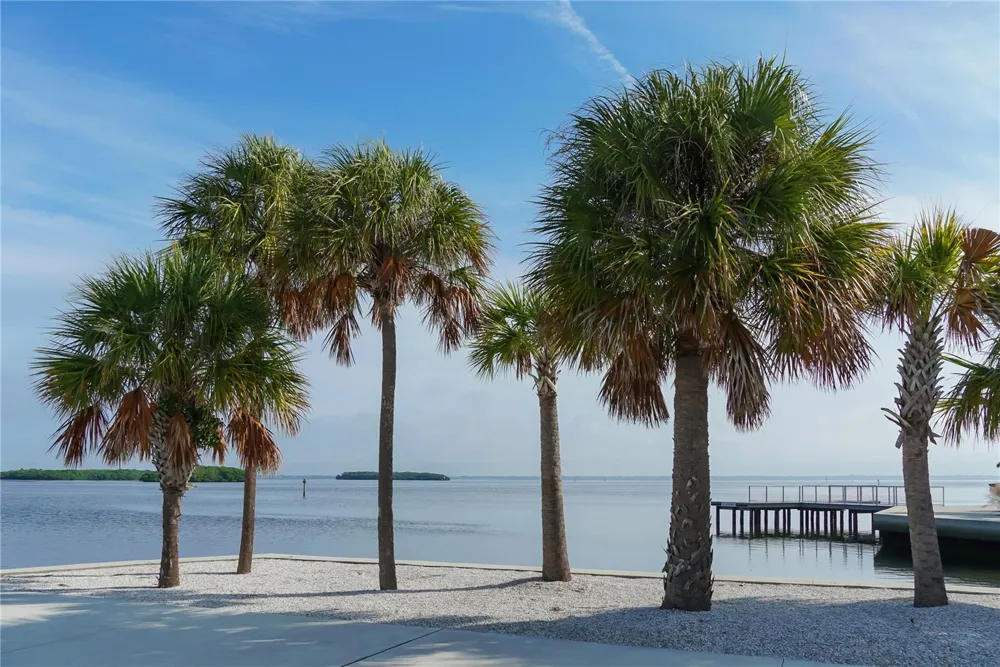 3040 GULF OF MEXICO DRIVE #3 Longboat Key, FL 34228