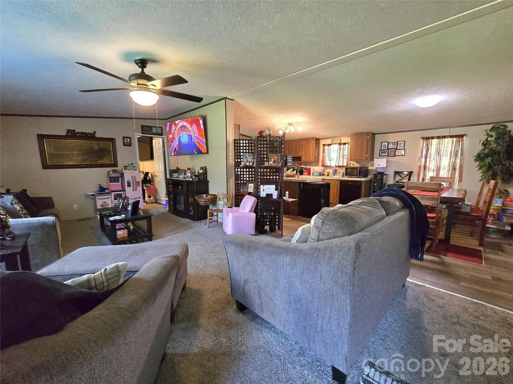221 Turkey Pen Gap Road Horse Shoe, NC 28742