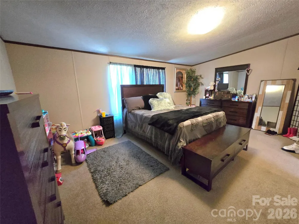 221 Turkey Pen Gap Road Horse Shoe, NC 28742