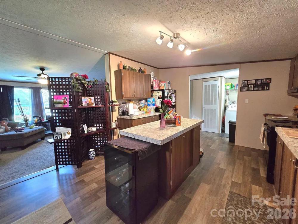 221 Turkey Pen Gap Road Horse Shoe, NC 28742