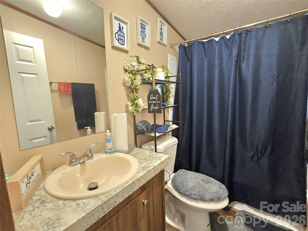 221 Turkey Pen Gap Road Horse Shoe, NC 28742