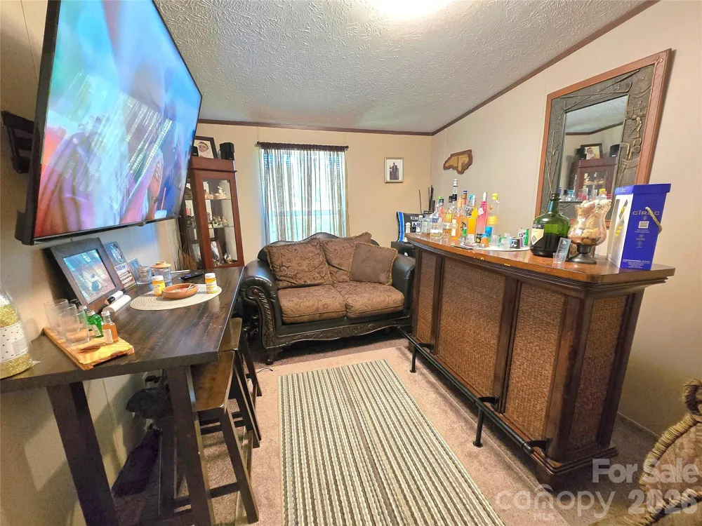 221 Turkey Pen Gap Road Horse Shoe, NC 28742