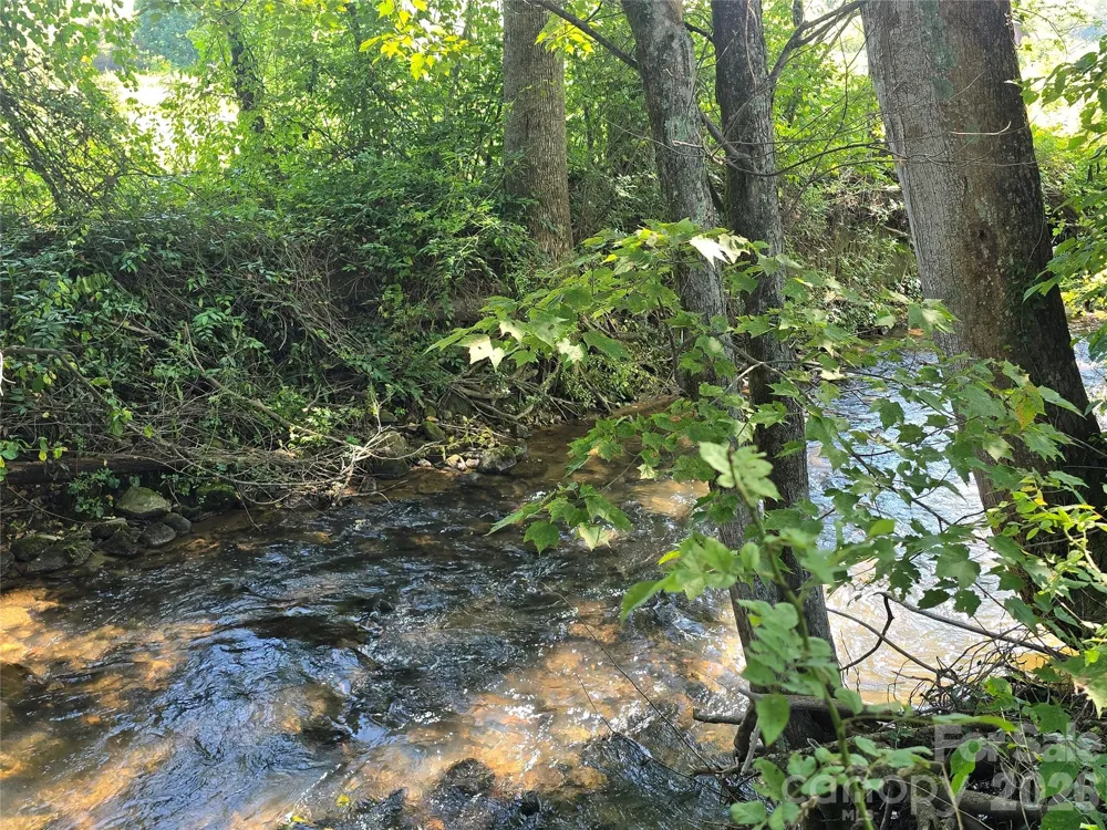 221 Turkey Pen Gap Road Horse Shoe, NC 28742