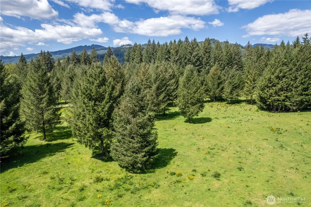 211 Sugarpine Road Ariel, WA 98603