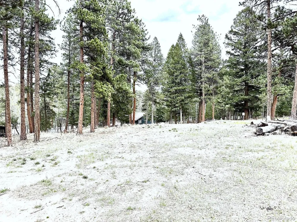 252 Beaver Trail Bailey, CO 80421