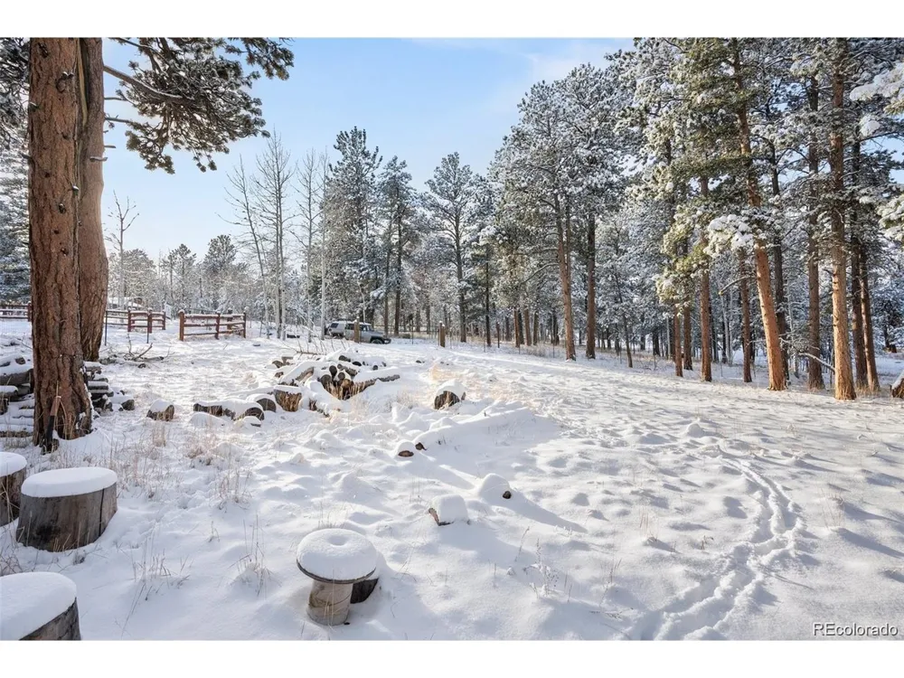 252 Beaver Trail Bailey, CO 80421