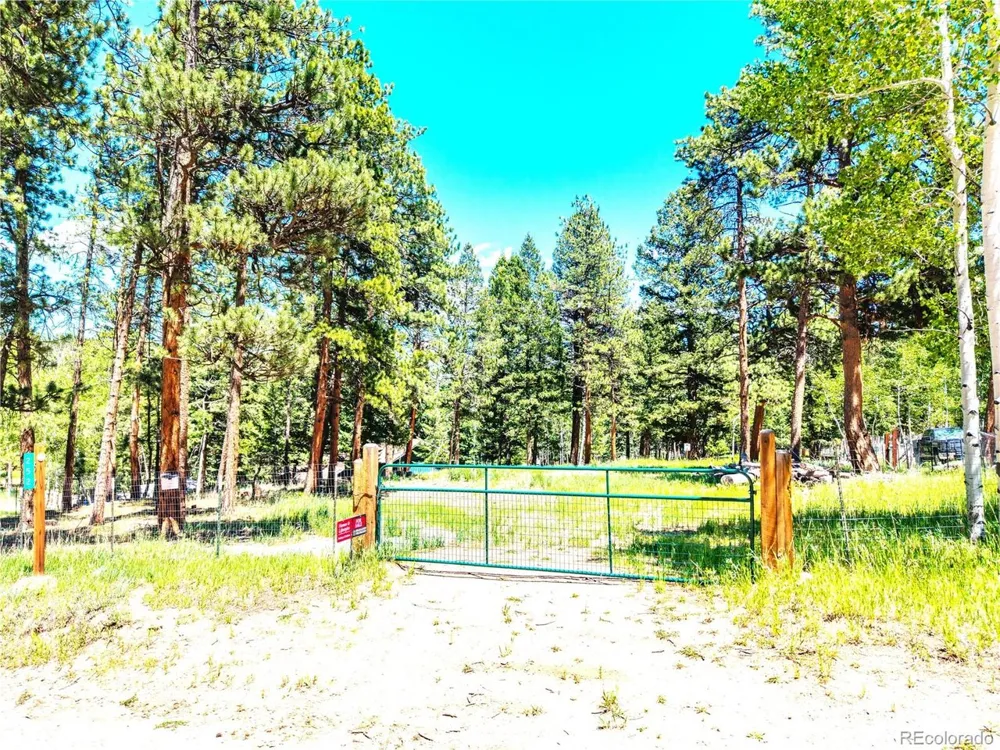 252 Beaver Trail Bailey, CO 80421