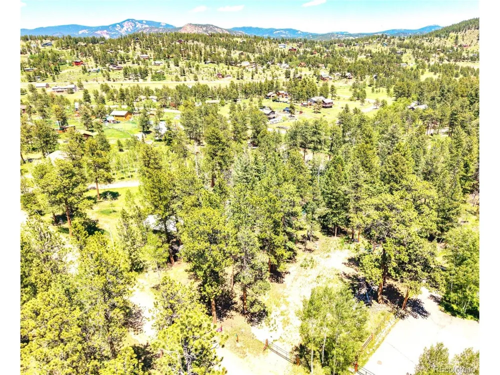 252 Beaver Trail Bailey, CO 80421