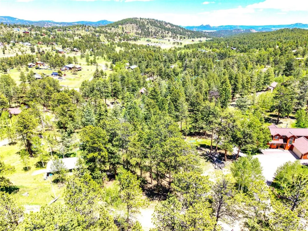 252 Beaver Trail Bailey, CO 80421