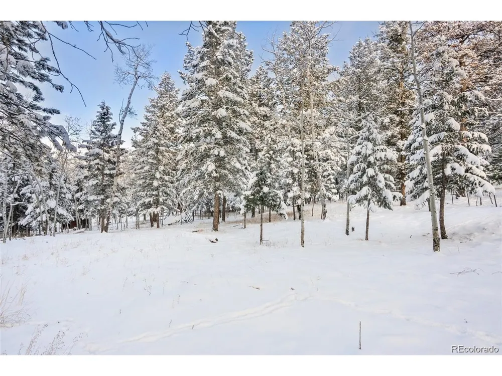 252 Beaver Trail Bailey, CO 80421