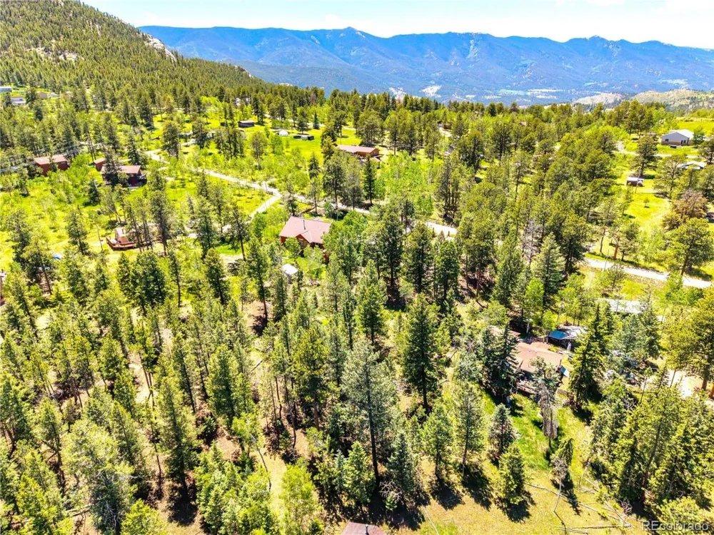 252 Beaver Trail Bailey, CO 80421