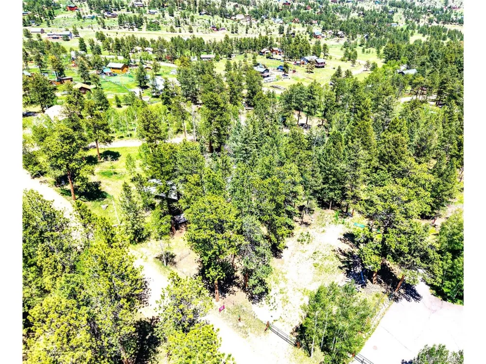252 Beaver Trail Bailey, CO 80421