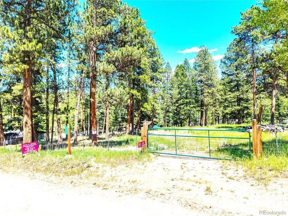 252 Beaver Trail Bailey, CO 80421
